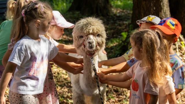Dzień Integracji w "Trzech Wzgórzach" – jubileusz parku pełen atrakcji