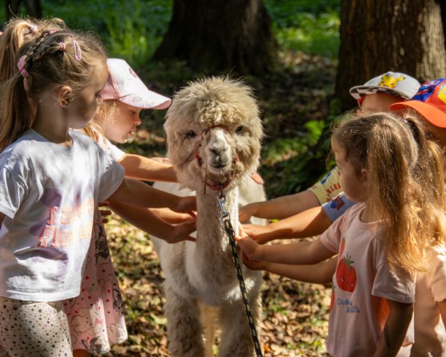 Dzień Integracji w "Trzech Wzgórzach" – jubileusz parku pełen atrakcji