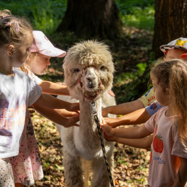 Dzień Integracji w "Trzech Wzgórzach" – jubileusz parku pełen atrakcji