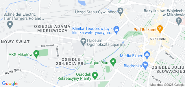 Mapa dojazdu Stomatologia Grzesiak Wodzisław Śląski
