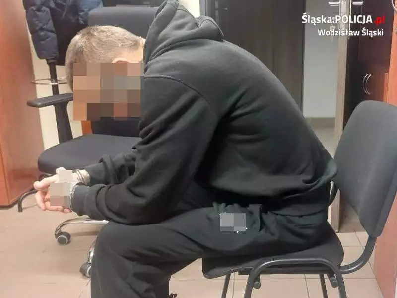Areszt dla multirecydywisty. Policja zatrzymała sprawców włamania