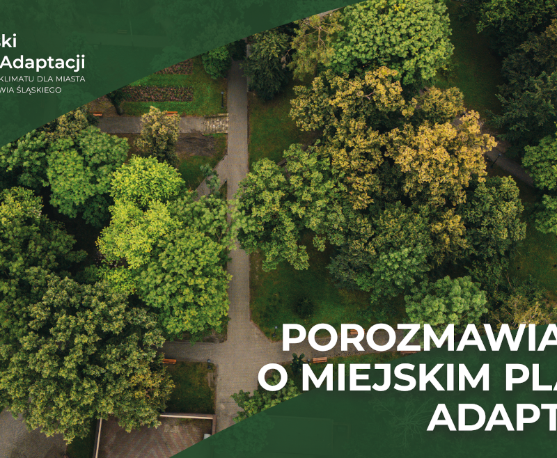 Dołącz do warsztatów Miejskiego Planu Adaptacji – Wodzisław Śląski działa na rzecz klimatu