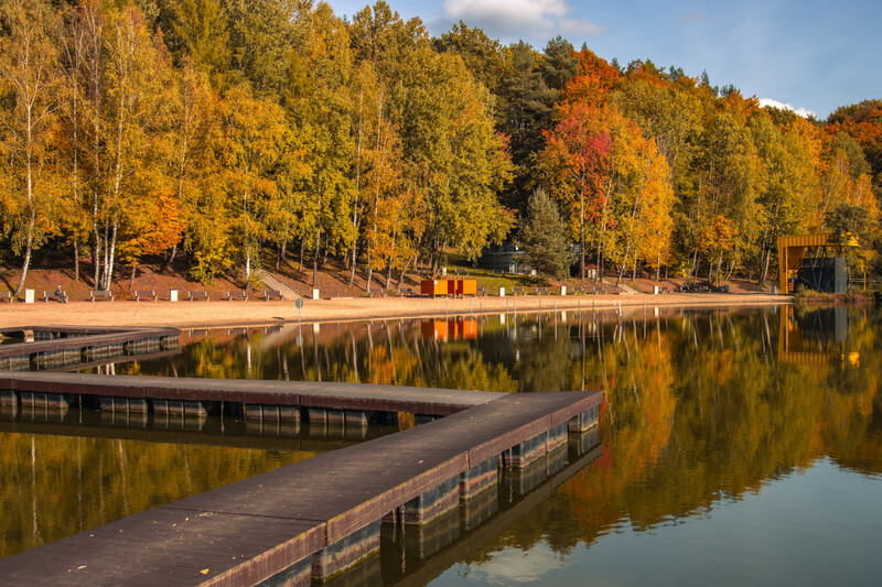 Listopad w Wodzisławiu Śląskim – pełen kultury, sportu i atrakcji dla całej rodziny
