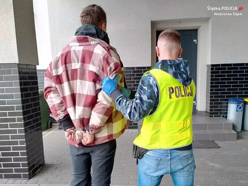 Wandal z Wodzisławia Śląskiego usłyszał zarzut zniszczenia mienia
