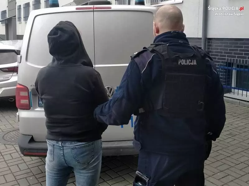 Wodzisław Śląski: 29-latka wpadła przy kradzieży alkoholu!